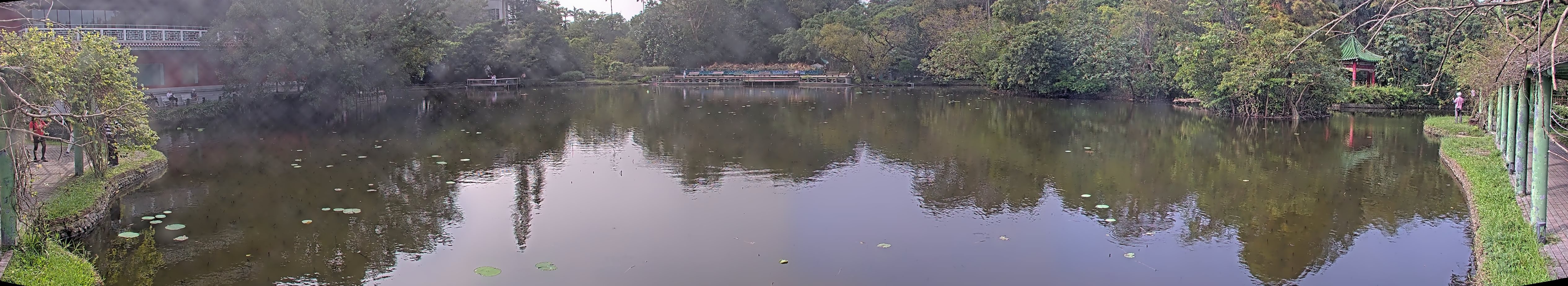 拍照日期:2024-11-15 時間:12時