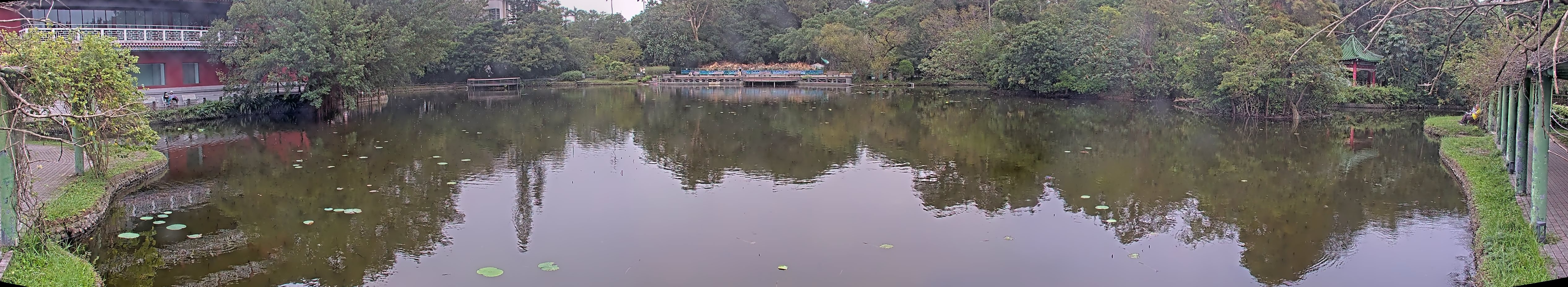 拍照日期:2024-11-15 時間:13時