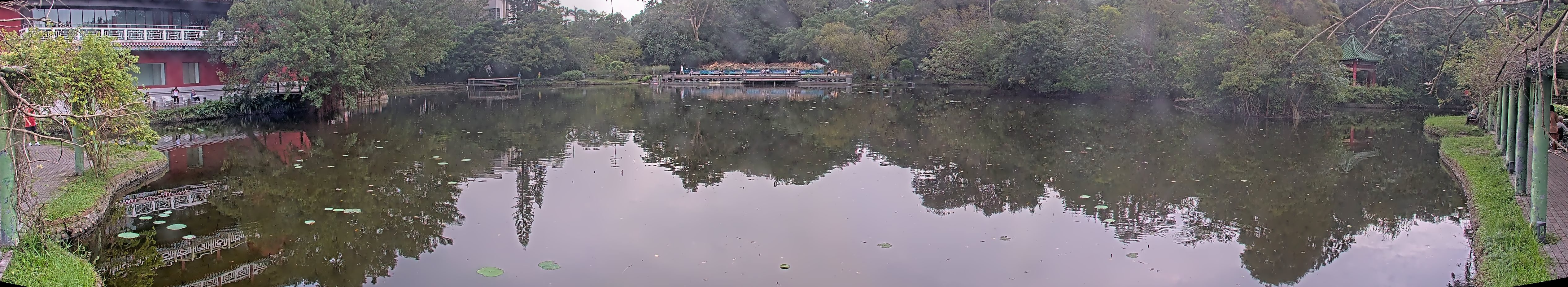 拍照日期:2024-11-15 時間:15時