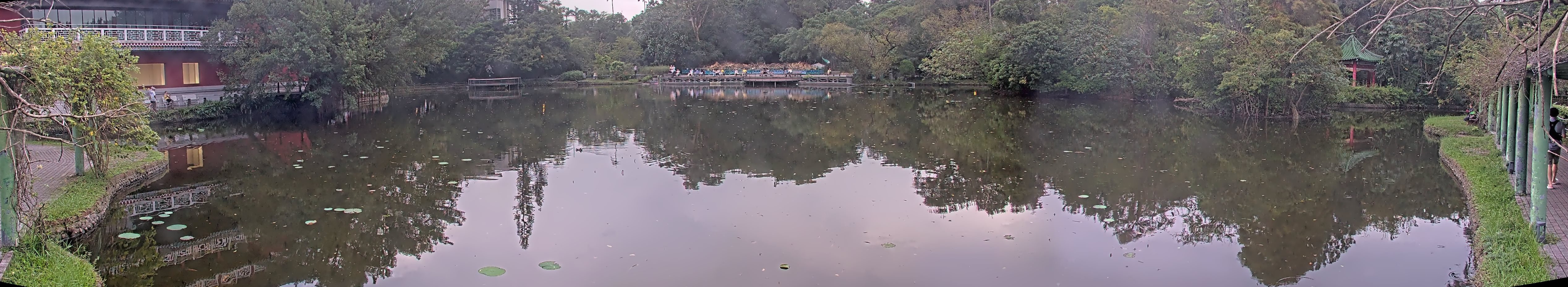 拍照日期:2024-11-15 時間:16時