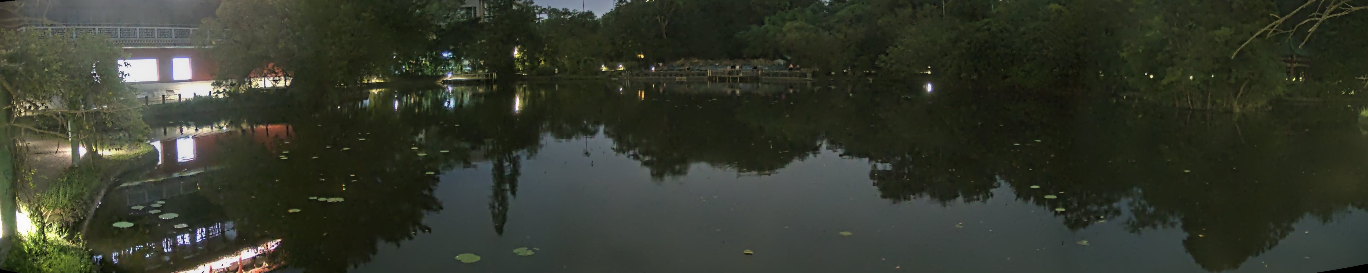 拍照日期:2024-11-15 時間:17時