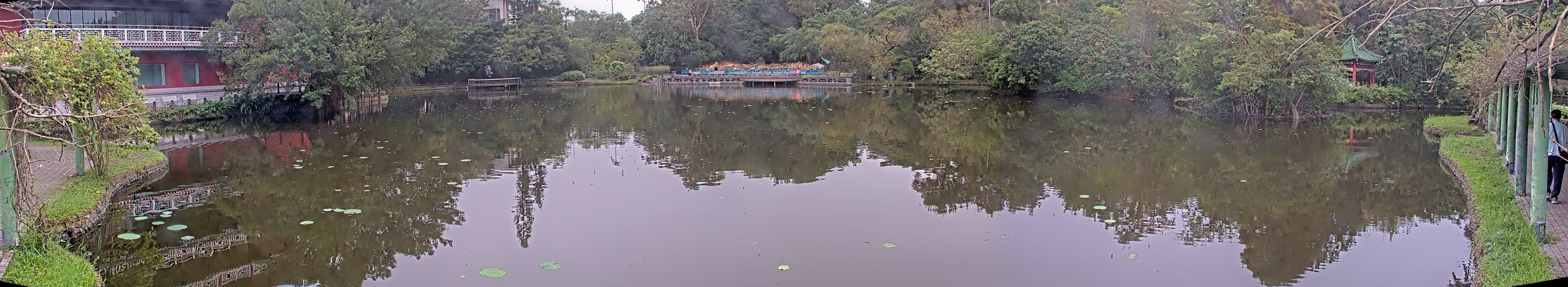 拍照日期:2024-11-16 時間:6時