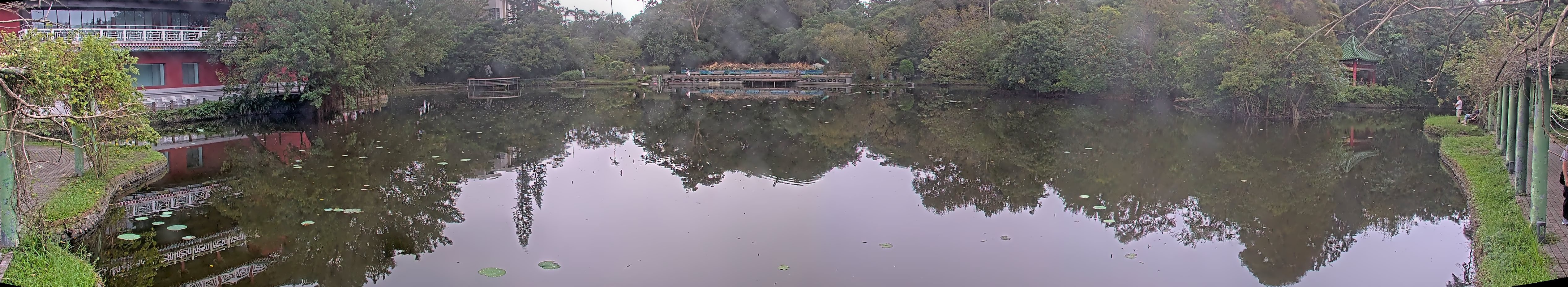 拍照日期:2024-11-16 時間:7時