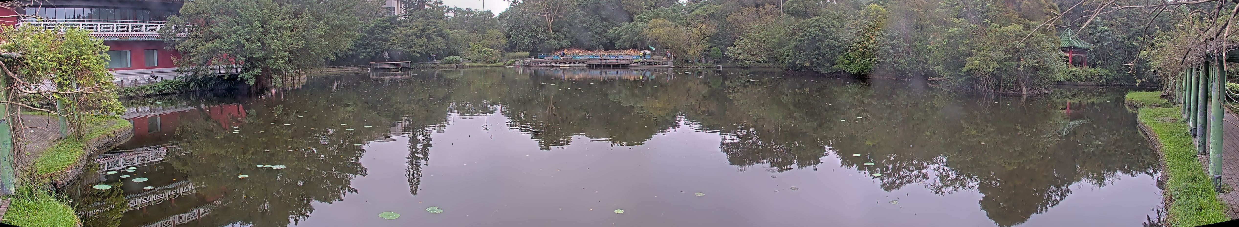 拍照日期:2024-11-16 時間:9時