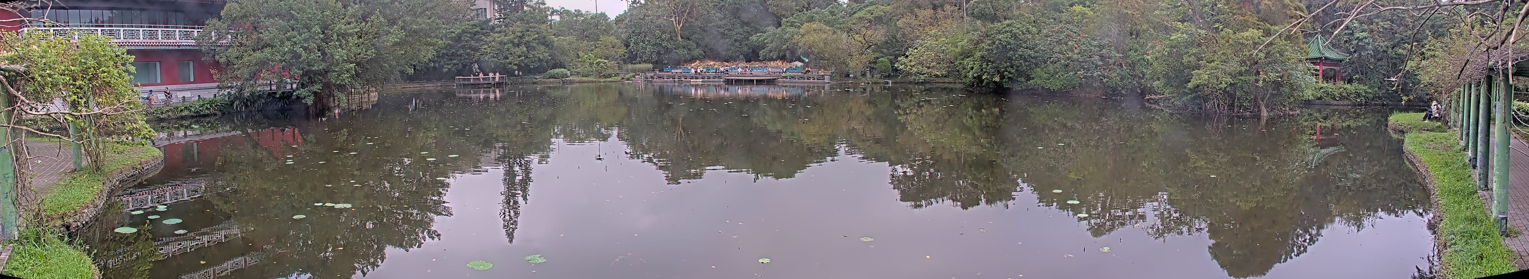 拍照日期:2024-11-16 時間:10時