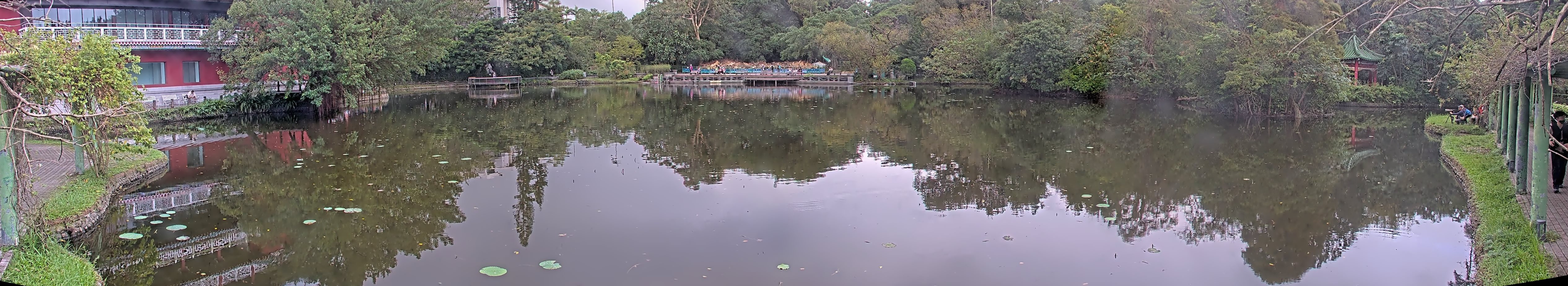 拍照日期:2024-11-16 時間:11時