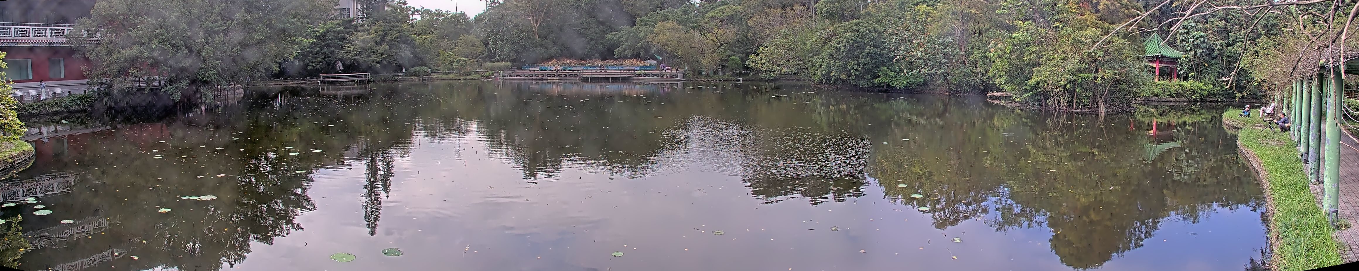 拍照日期:2024-11-16 時間:12時