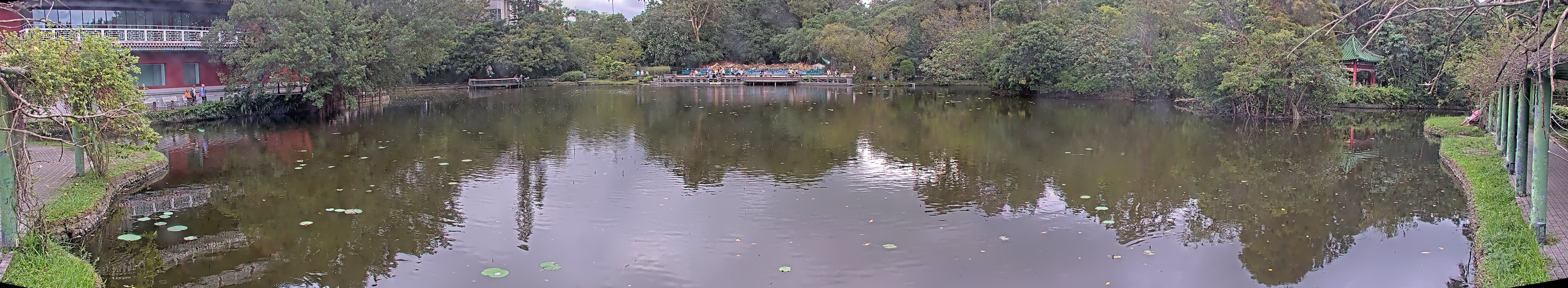 拍照日期:2024-11-16 時間:14時