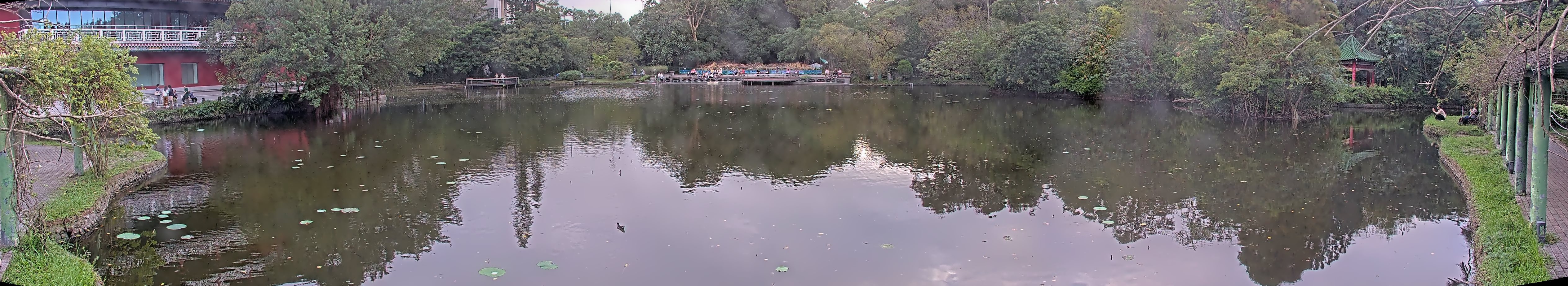 拍照日期:2024-11-16 時間:15時