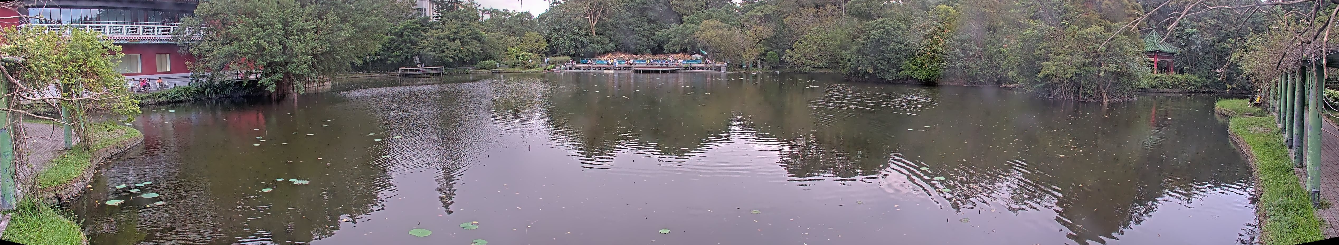 拍照日期:2024-11-16 時間:16時