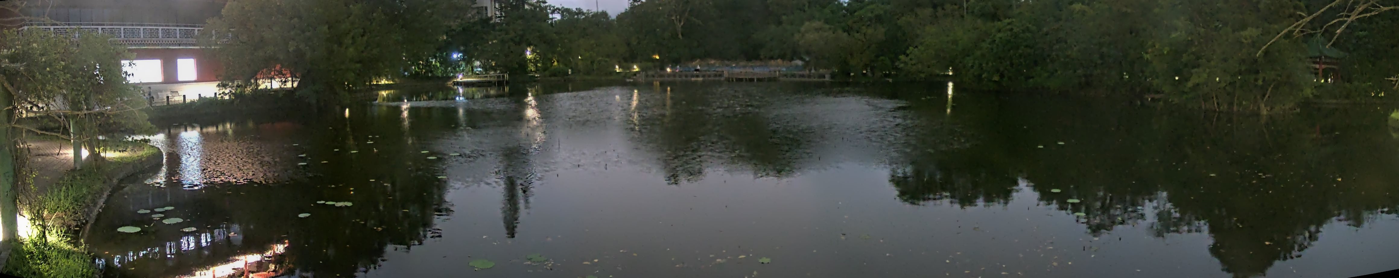 拍照日期:2024-11-16 時間:17時