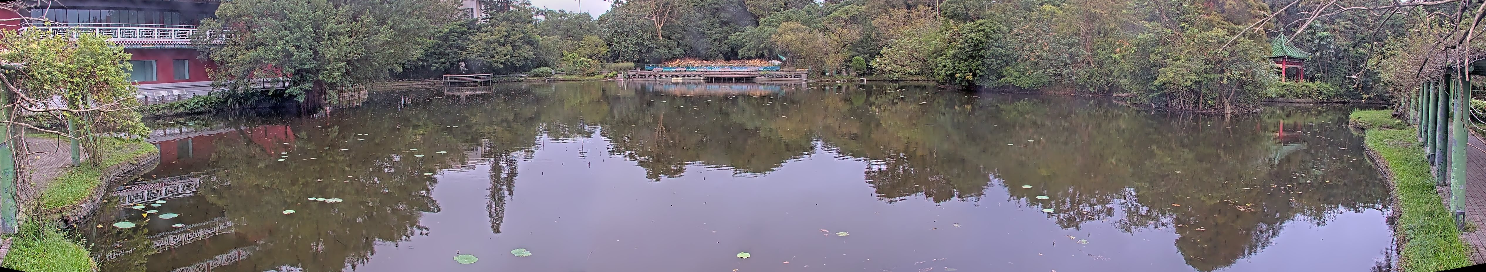 拍照日期:2024-11-17 時間:6時