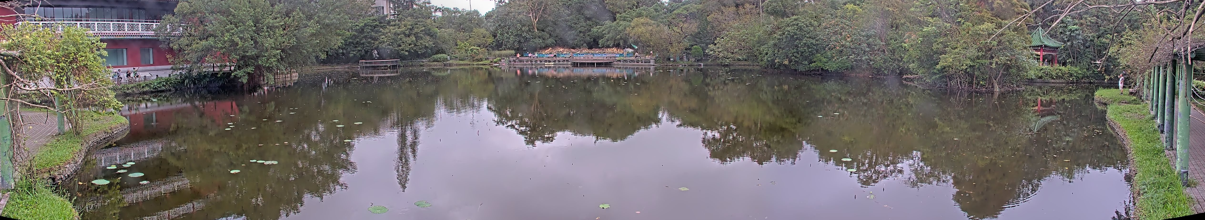 拍照日期:2024-11-17 時間:7時