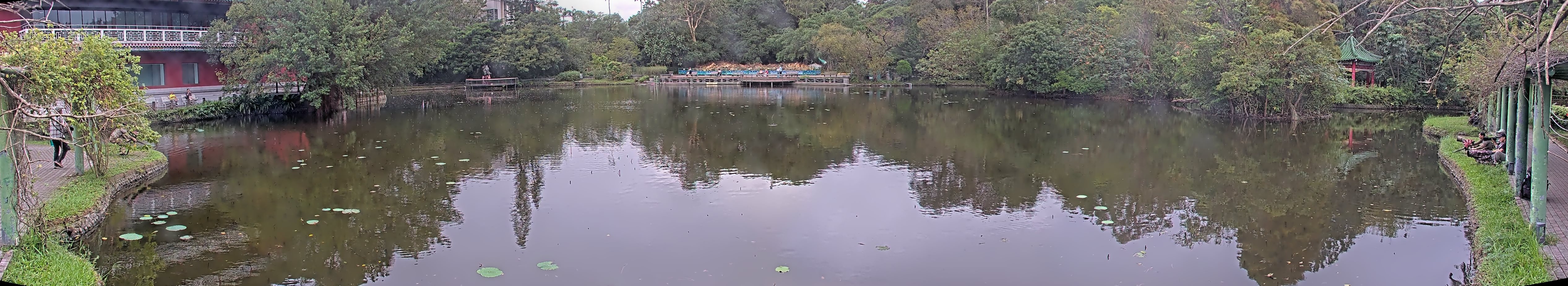 拍照日期:2024-11-17 時間:8時