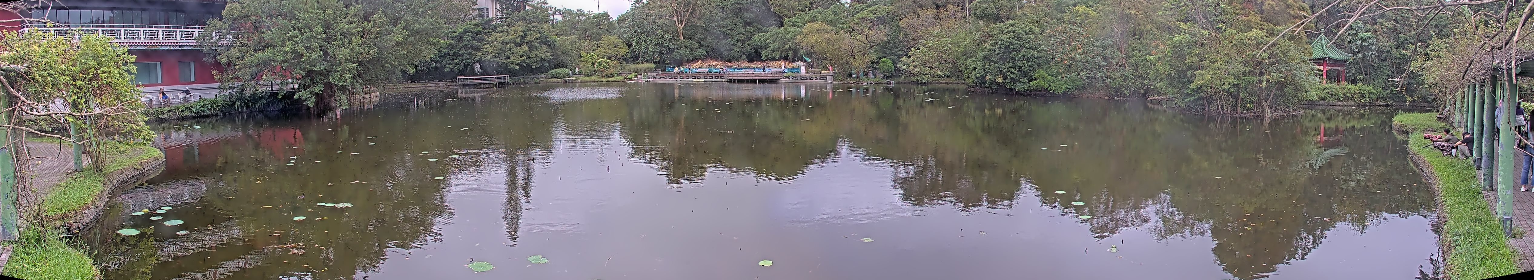 拍照日期:2024-11-17 時間:9時