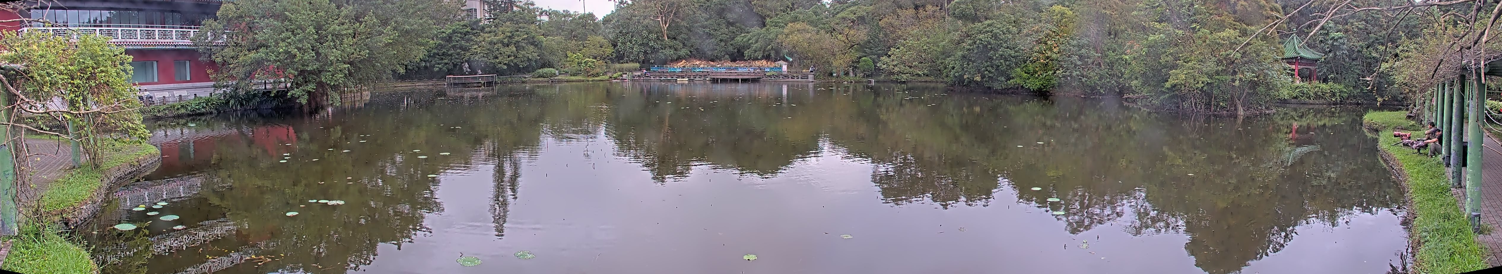 拍照日期:2024-11-17 時間:10時