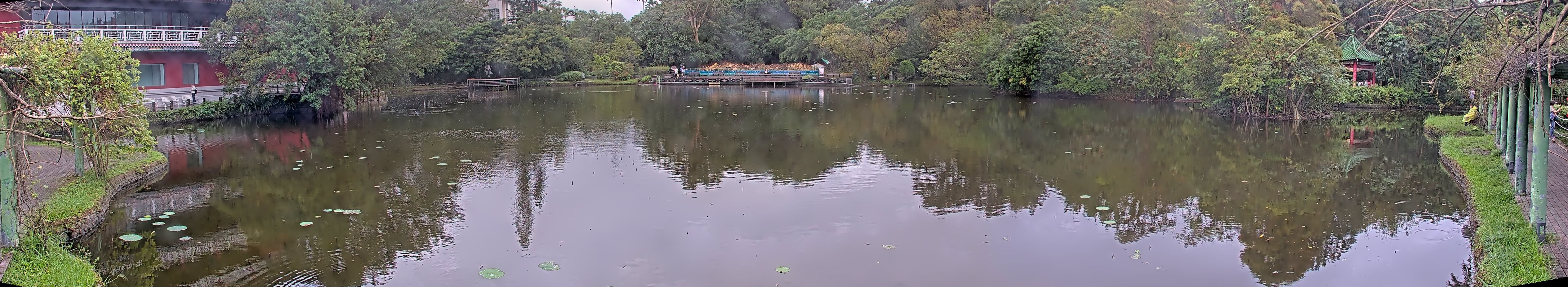 拍照日期:2024-11-17 時間:11時