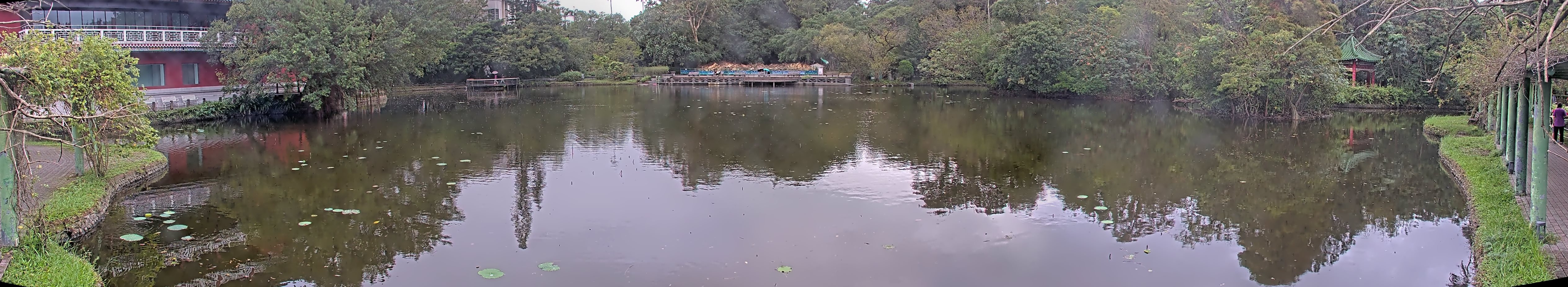 拍照日期:2024-11-17 時間:12時