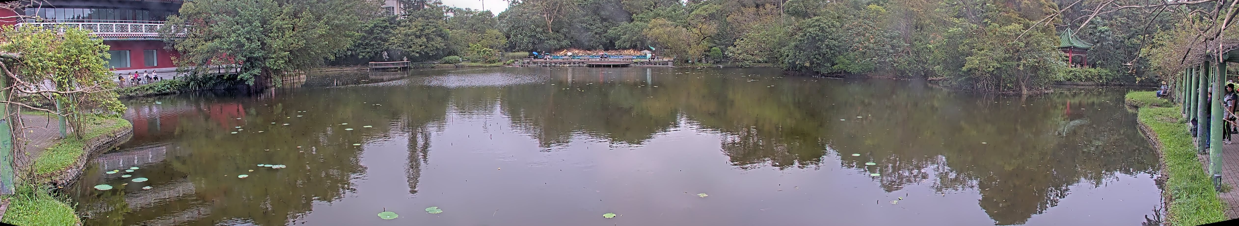 拍照日期:2024-11-17 時間:13時