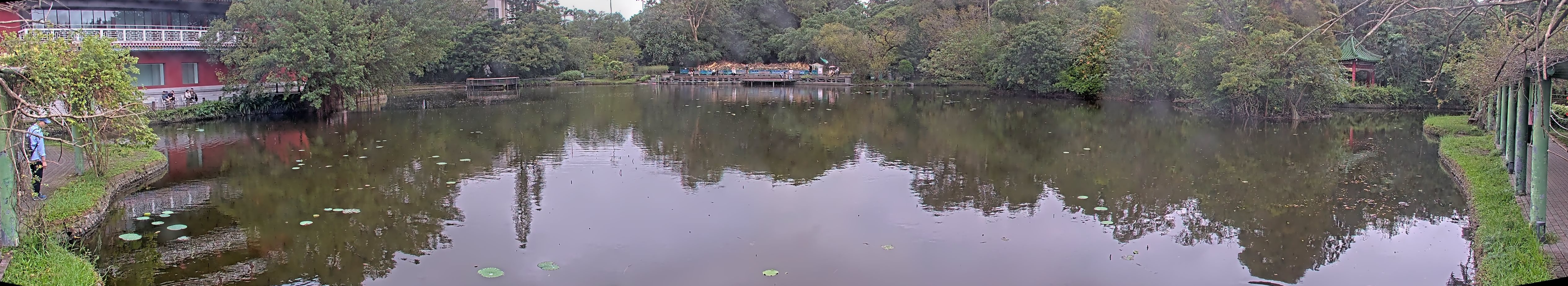 拍照日期:2024-11-17 時間:14時