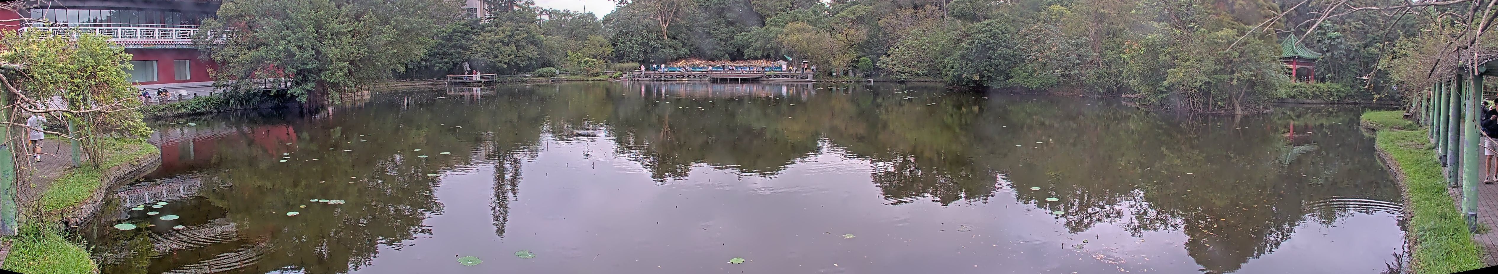 拍照日期:2024-11-17 時間:15時