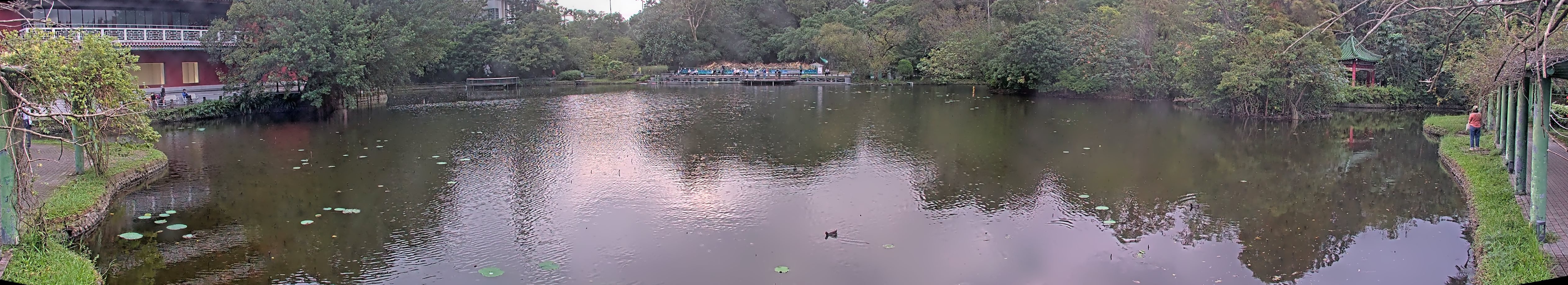 拍照日期:2024-11-17 時間:16時