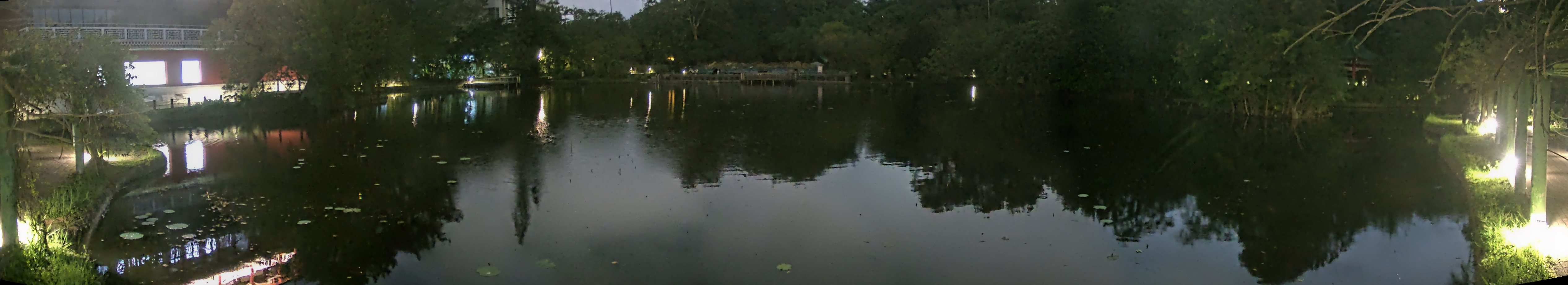 拍照日期:2024-11-17 時間:17時