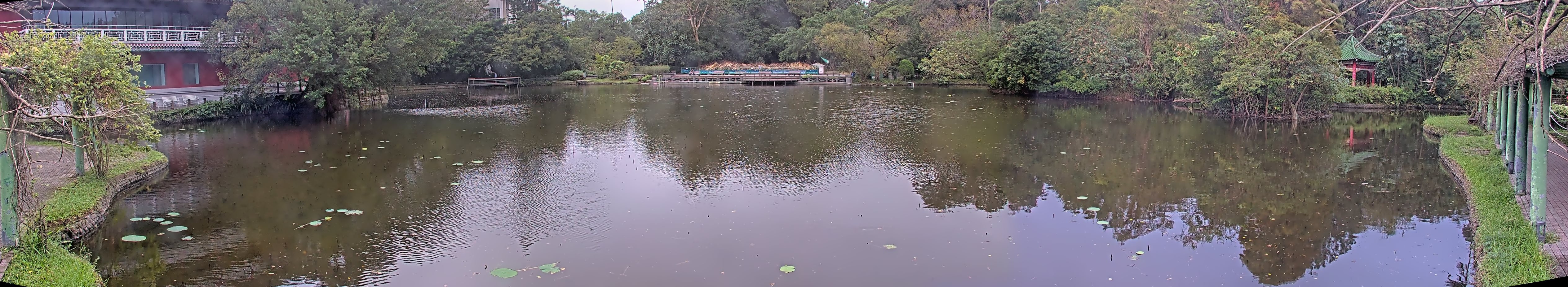 拍照日期:2024-11-18 時間:6時