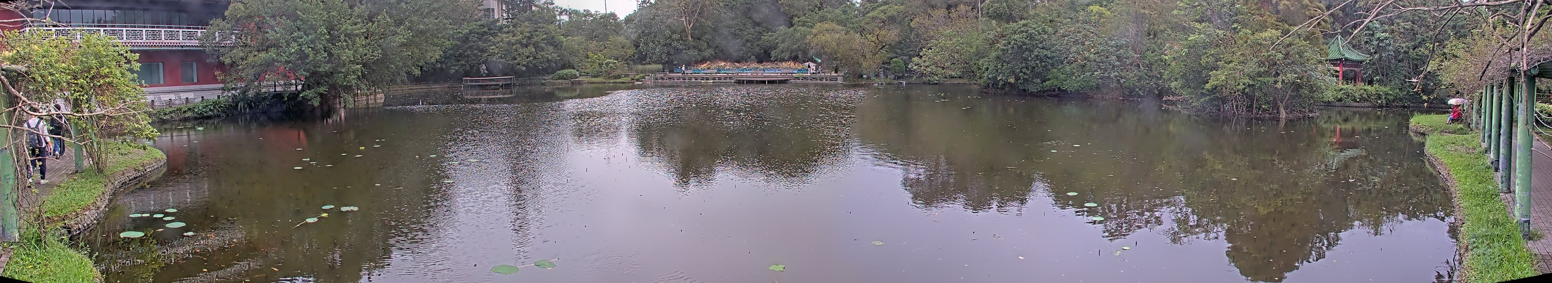 拍照日期:2024-11-18 時間:7時
