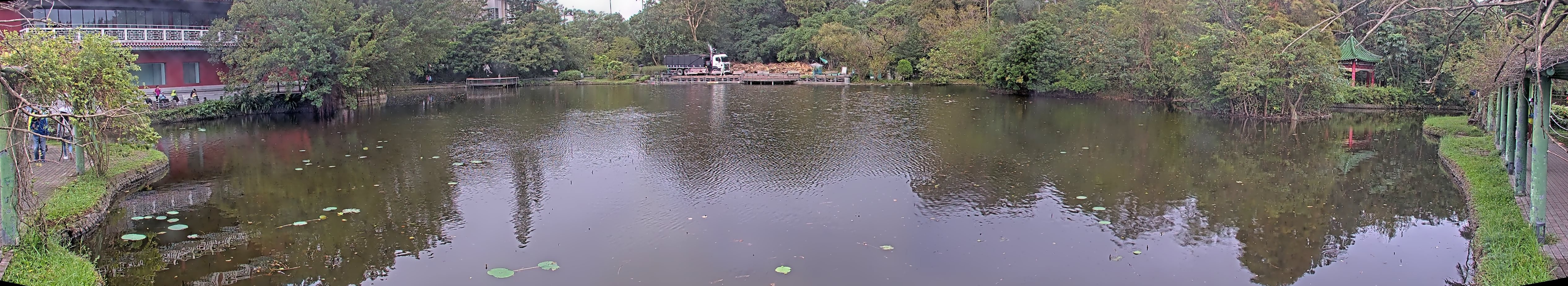 拍照日期:2024-11-18 時間:8時