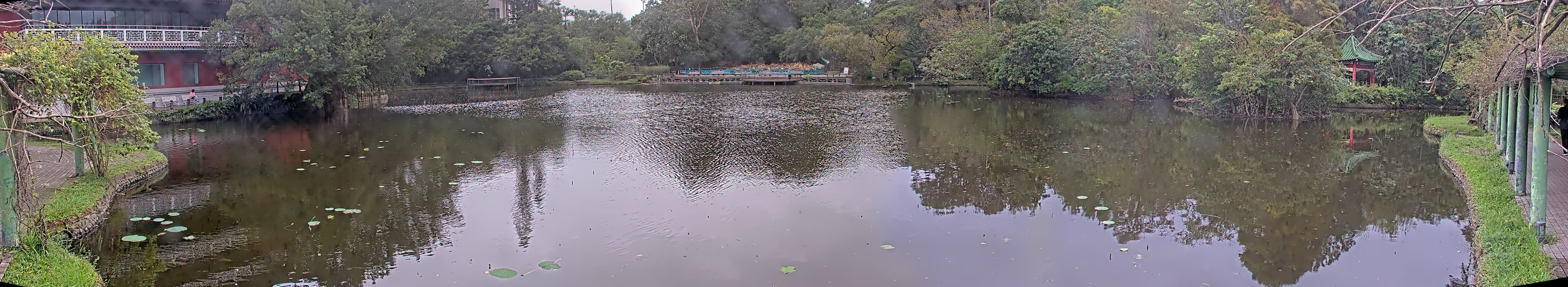 拍照日期:2024-11-18 時間:9時