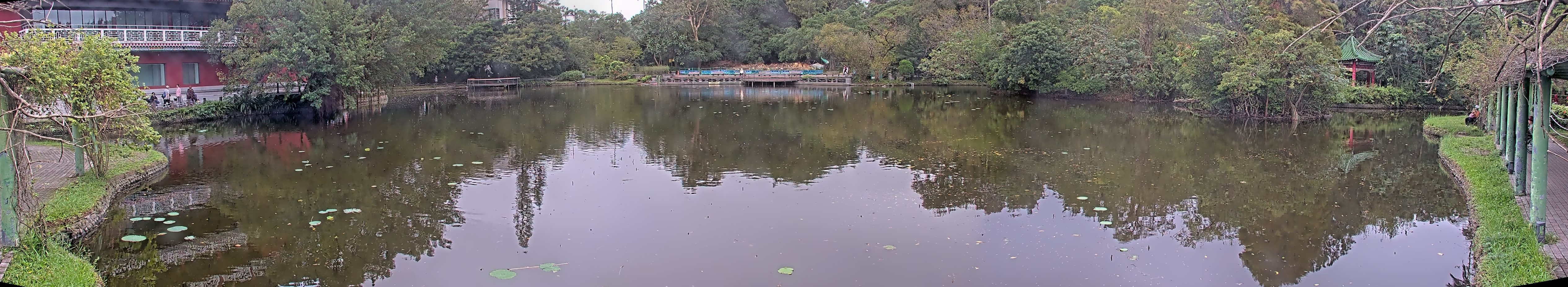 拍照日期:2024-11-18 時間:10時