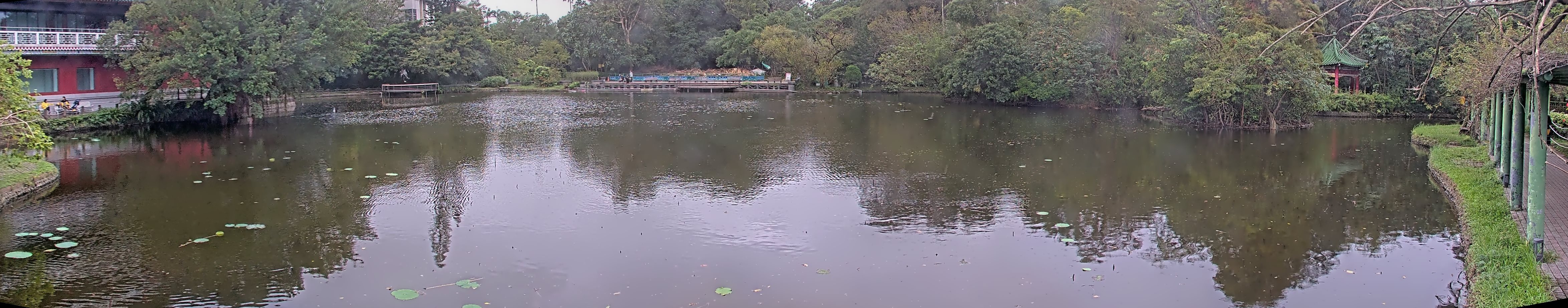 拍照日期:2024-11-18 時間:11時