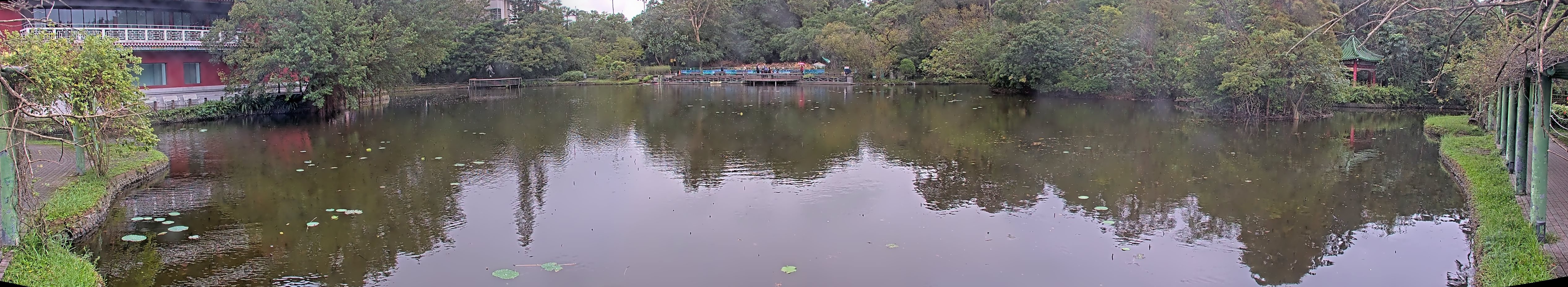 拍照日期:2024-11-18 時間:12時