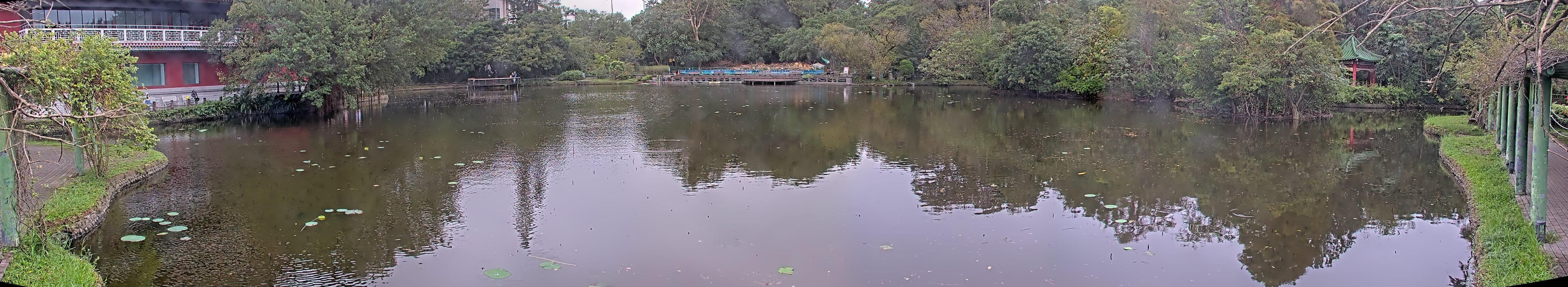 拍照日期:2024-11-18 時間:13時