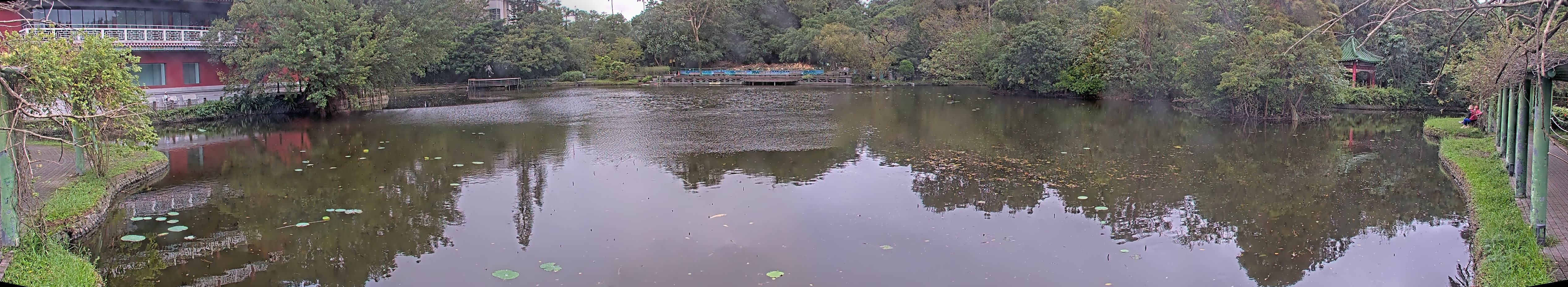 拍照日期:2024-11-18 時間:14時