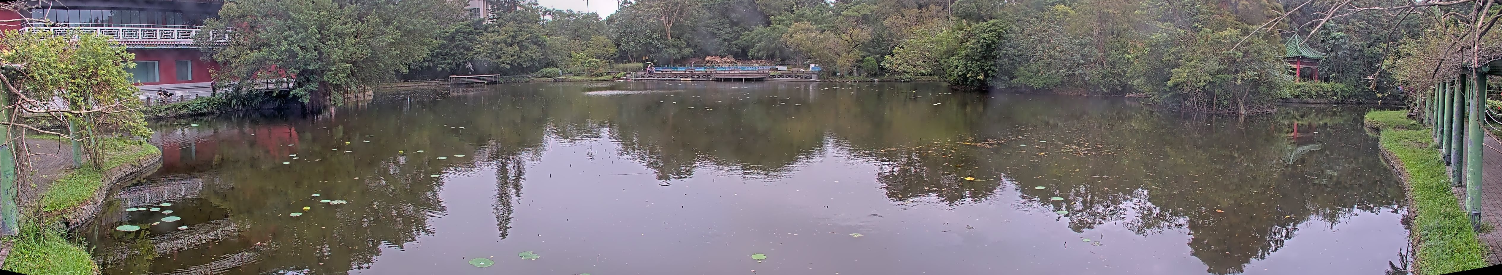 拍照日期:2024-11-18 時間:15時