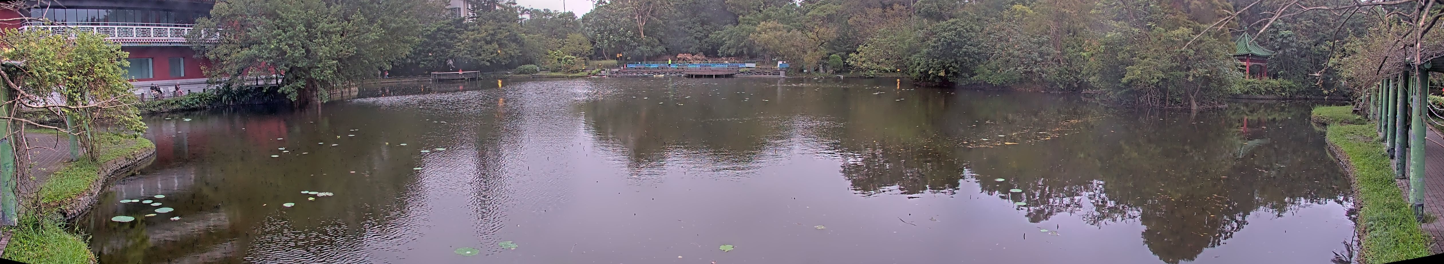 拍照日期:2024-11-18 時間:16時