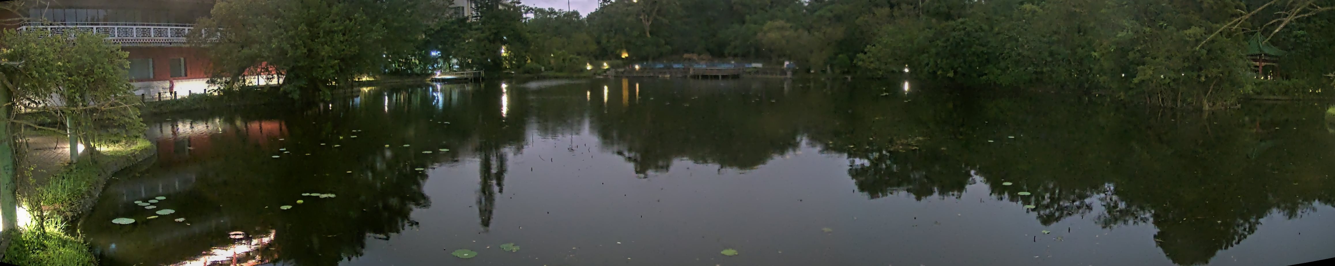 拍照日期:2024-11-18 時間:17時