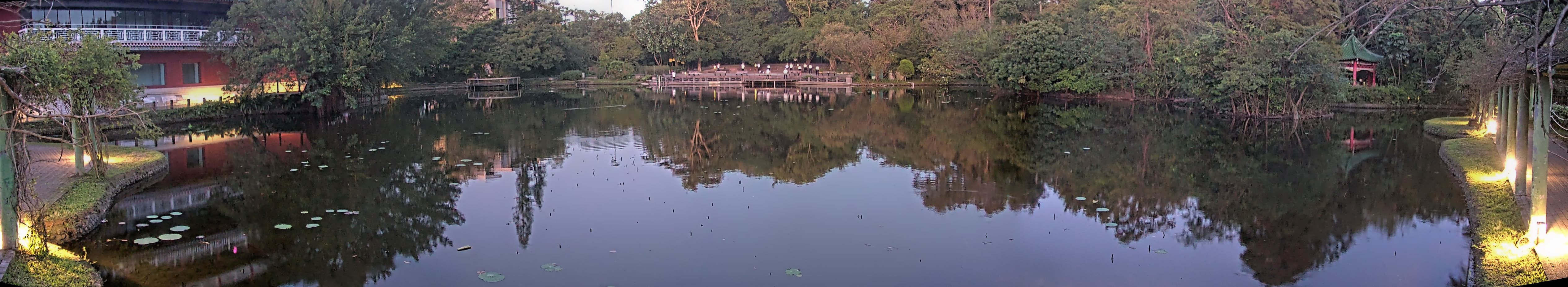 拍照日期:2024-11-25 時間:5時