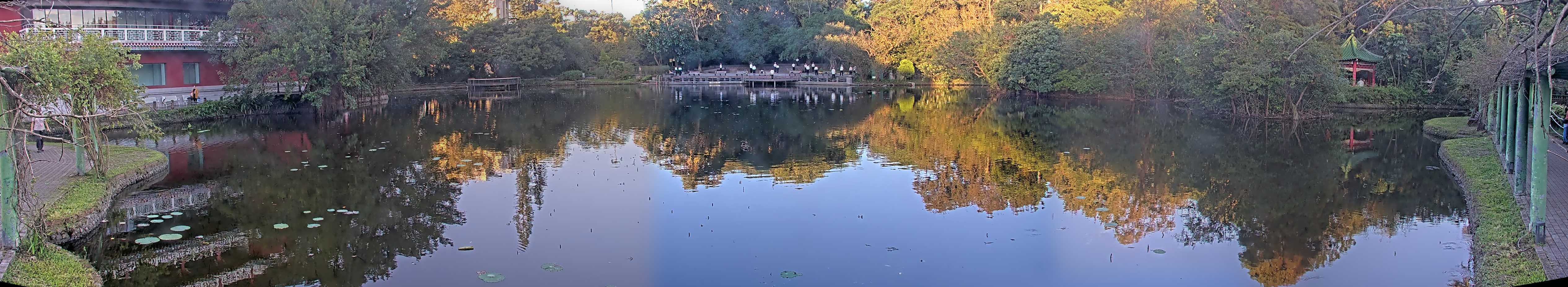 拍照日期:2024-11-25 時間:6時