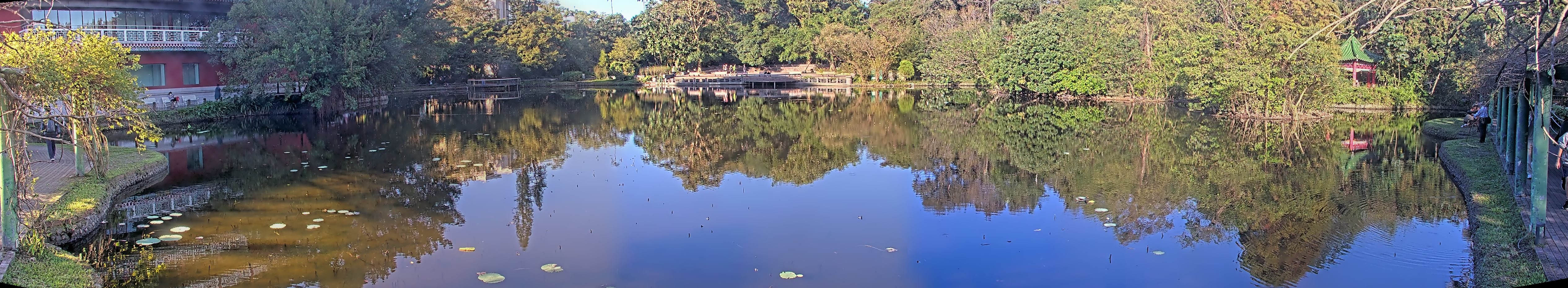 拍照日期:2024-11-25 時間:7時