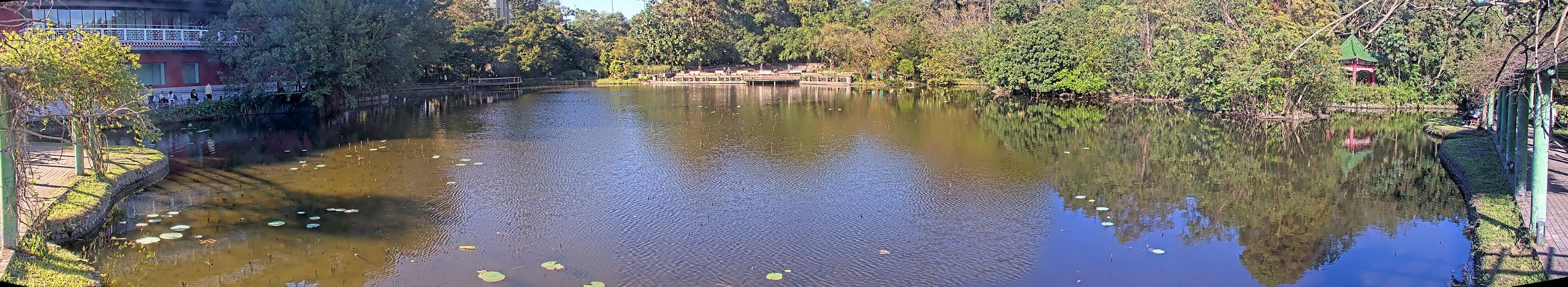 拍照日期:2024-11-25 時間:8時