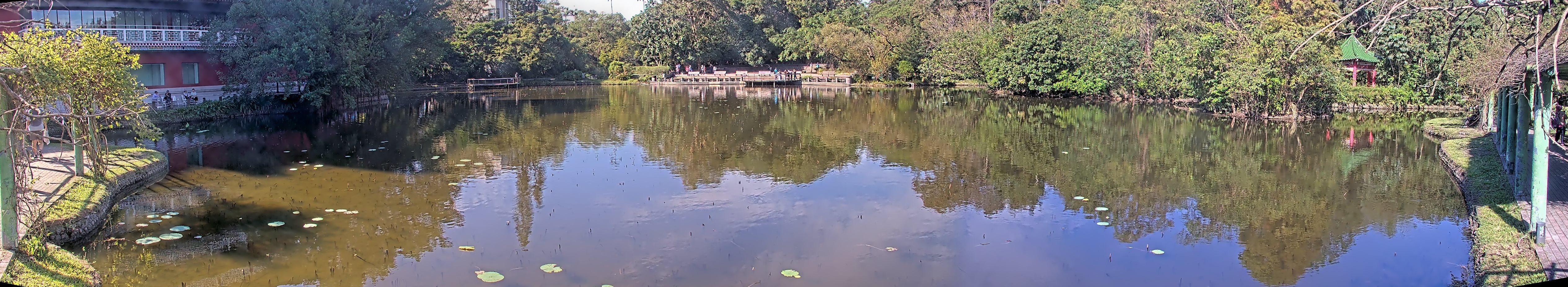 拍照日期:2024-11-25 時間:9時