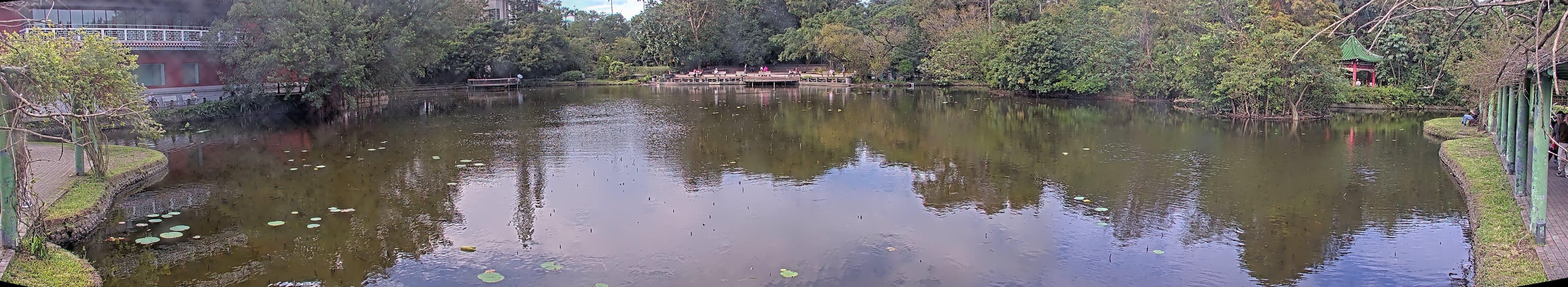 拍照日期:2024-11-25 時間:10時