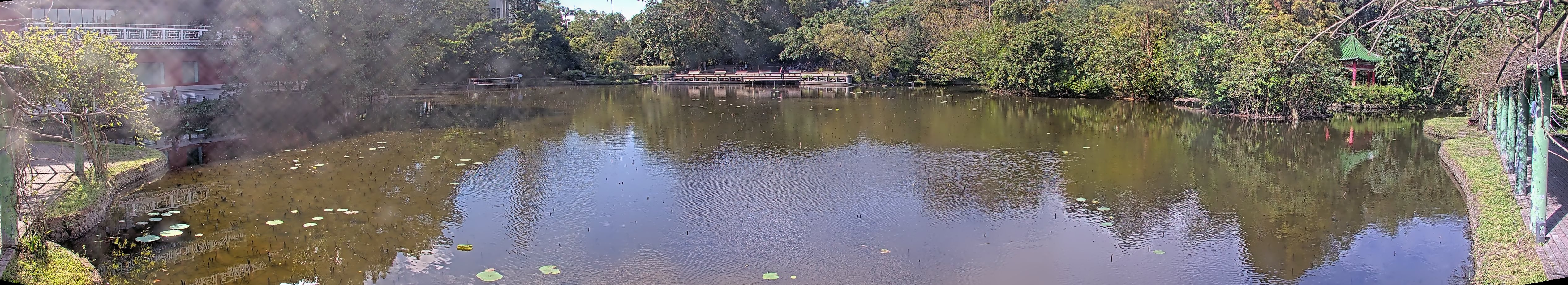 拍照日期:2024-11-25 時間:11時