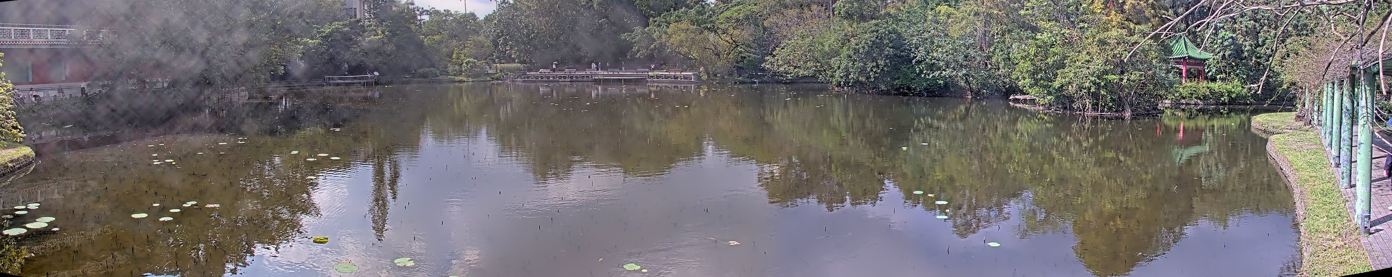 拍照日期:2024-11-25 時間:12時