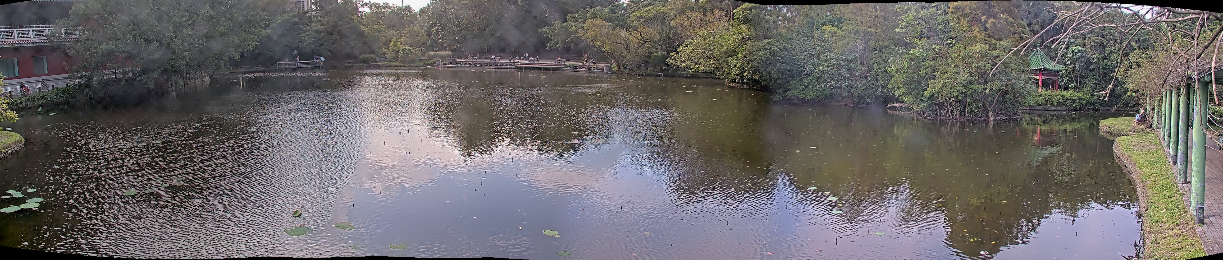 拍照日期:2024-11-25 時間:13時