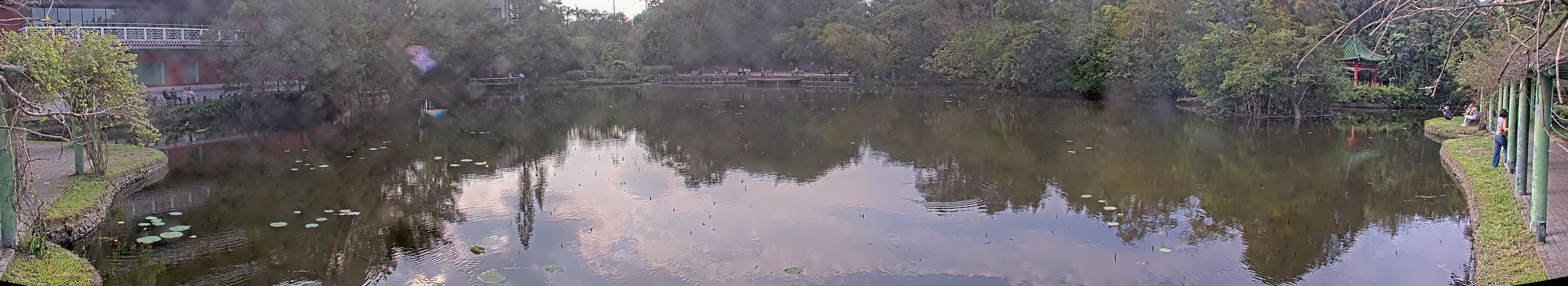 拍照日期:2024-11-25 時間:14時