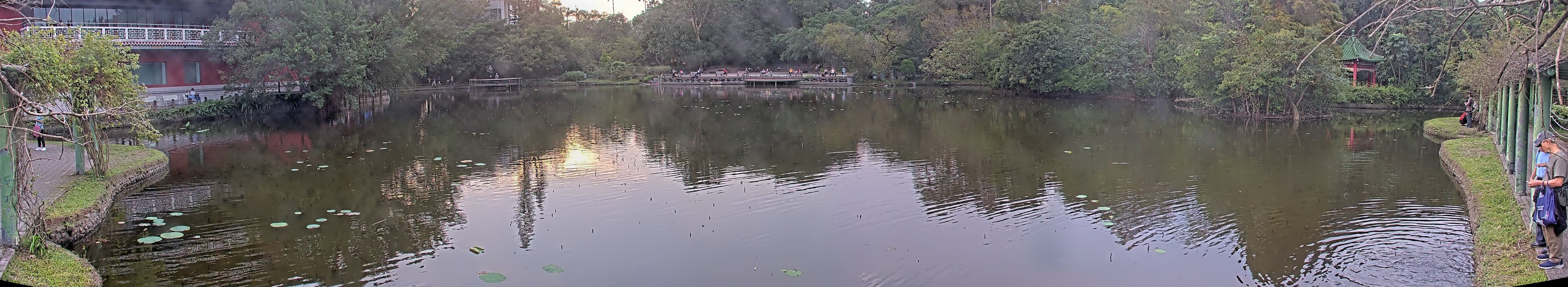 拍照日期:2024-11-25 時間:15時